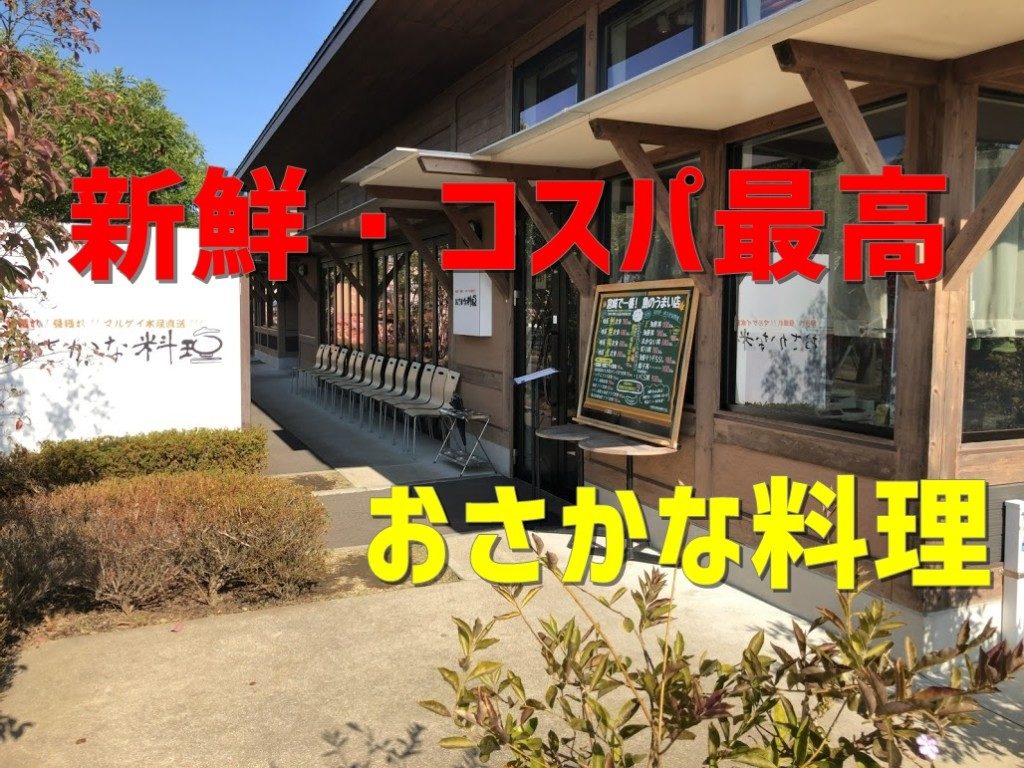 【宮崎】コスパ最高な新鮮なお魚料理が食べれる「ぽっくる農園　おさかな料理」が凄かった